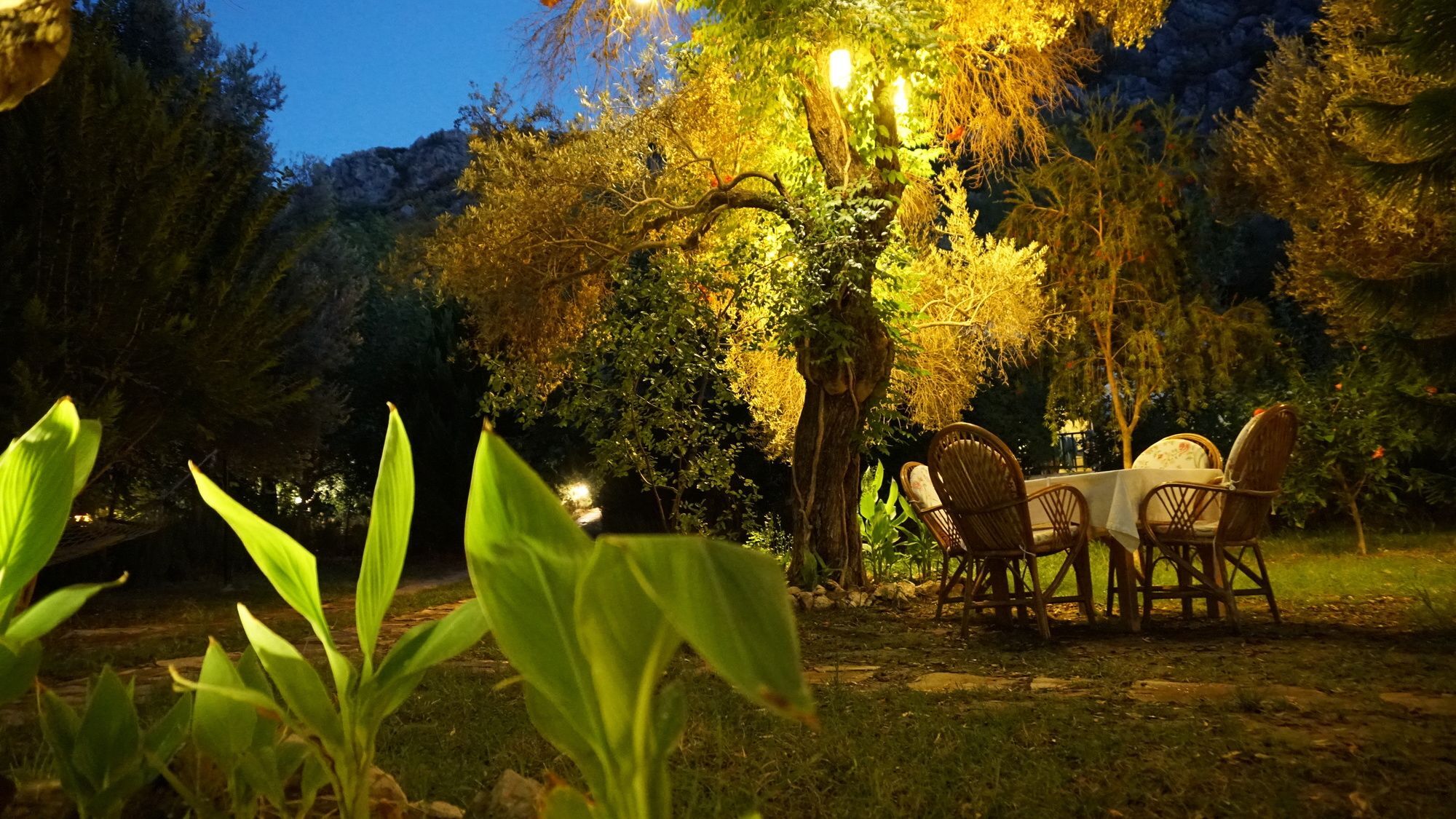 Datça Masal Gibi Dış mekan fotoğraf