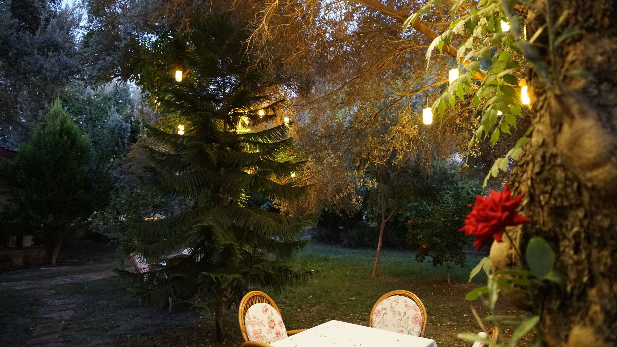 Datça Masal Gibi Dış mekan fotoğraf